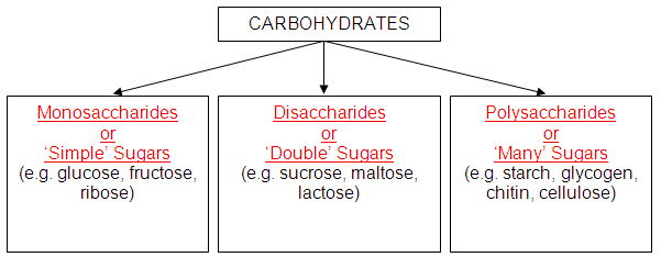 Carbohydrates