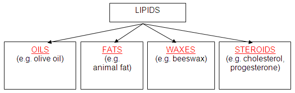 Lipids