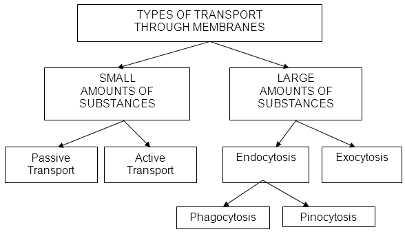 Membranes