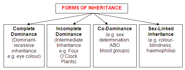 Inheritance