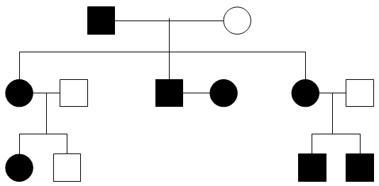 Pedigree Diagram