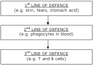 Lines of Defence