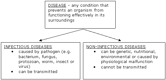 Disease Causes