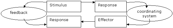 Stimulus Response with Feedback